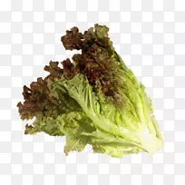 ��Ҷݫ�������ز��߲˱�ɽ����-�߲�-������