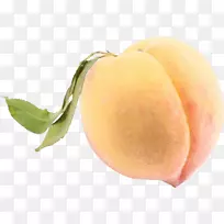 ͼ��ֱ��ʼ�����-������-������