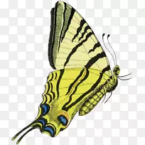 µÛÍõµû£¬Ë¢×ãºûµû£¬À¥³æºûµû-¿ÕÈôÍø µÛÍõµû£¬Ë¢×ãºûµû£¬À¥³æºûµû-¿ÕÈôÍø