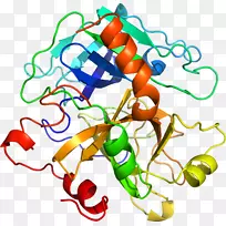 线点生物剪贴画线-空若网 线点生物剪贴画线-空若网