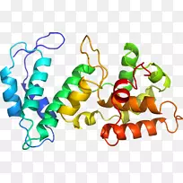 �߲��л���ϵ�м�����-�߲�-������