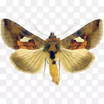 ��������-����-������