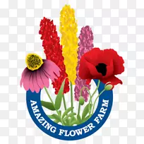 花卉设计令人惊叹的花圃切花-花圃-空若网 花卉设计令人惊叹的花圃切花-花圃-空若网