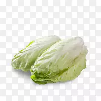 Éú²Ë¡¢´º²Ë¡¢¾íÐIJˡ¢Ò¶²Ë¡¢¸ÊÀ¶-¿ÕÈôÍø Éú²Ë¡¢´º²Ë¡¢¾íÐIJˡ¢Ò¶²Ë¡¢¸ÊÀ¶-¿ÕÈôÍø