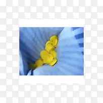 纺织-Gewinn-空若网 纺织-Gewinn-空若网