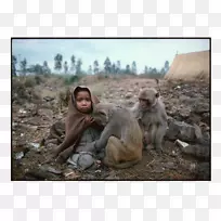 照片随笔玛丽艾伦马克,25年摄影师-空若网 照片随笔玛丽艾伦马克,25年摄影师-空若网