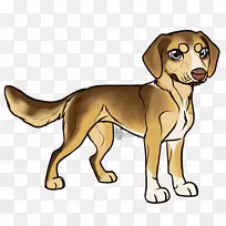 犬种小狗伴犬鼻子-小狗-空若网 犬种小狗伴犬鼻子-小狗-空若网