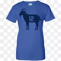 t����ñ������t��-������