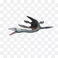 ��������-ˮ����-������