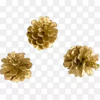 ʥ���ڽ���Ҷ׶������-ʥ����-������