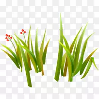 草本植物药用植物剪贴画-空若网 草本植物药用植物剪贴画-空若网