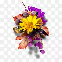 花卉设计花束无玫瑰陈年花卉植物拉图-空若网 花卉设计花束无玫瑰陈年花卉植物拉图-空若网