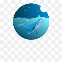 海豚水桌面壁纸-海豚-空若网 海豚水桌面壁纸-海豚-空若网