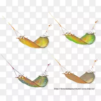 昆虫-空若网 昆虫-空若网