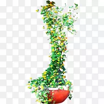 开花植物线字体-植物-空若网 开花植物线字体-植物-空若网