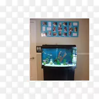 ˮ��ݲ�����ˮ����-������