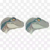 动物颌骨设计-空若网 动物颌骨设计-空若网