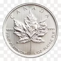 金币加拿大金枫叶银币-空若网 金币加拿大金枫叶银币-空若网