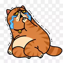 胡须狗猫鼻子夹艺术狗-空若网 胡须狗猫鼻子夹艺术狗-空若网