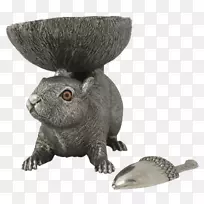 陆生动物鼻子-坚果碗-空若网 陆生动物鼻子-坚果碗-空若网