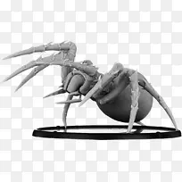 蜘蛛微型图形爱好昆虫发音呼吸蜘蛛-空若网 蜘蛛微型图形爱好昆虫发音呼吸蜘蛛-空若网