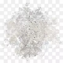 数学家谱项目家谱-数学-空若网 数学家谱项目家谱-数学-空若网