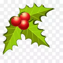 Ë®¹ûÒ¶Ê¥µ®¼ôÌù»-¿ÕÈôÍø Ë®¹ûÒ¶Ê¥µ®¼ôÌù»-¿ÕÈôÍø