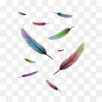 羽毛标志-羽毛-空若网 羽毛标志-羽毛-空若网