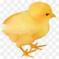 绘制剪影壁纸动物剪影动物图片-空若网 绘制剪影壁纸动物剪影动物图片-空若网