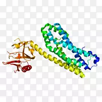 人体珠宝剪贴画.珠宝-空若网 人体珠宝剪贴画.珠宝-空若网