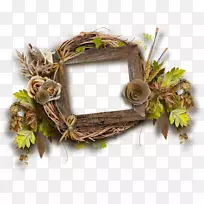 花冠枝-空若网 花冠枝-空若网