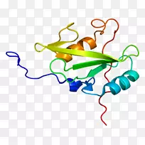 人体珠宝剪贴画.珠宝-空若网 人体珠宝剪贴画.珠宝-空若网