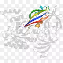 ƽ����Ƽ�����.���-������