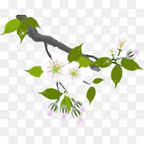 梅花枝,花瓣-梅花-空若网 梅花枝,花瓣-梅花-空若网