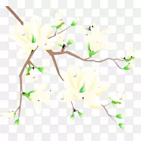 梅花-梅花-空若网 梅花-梅花-空若网