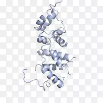 车身珠宝字体-珠宝-空若网 车身珠宝字体-珠宝-空若网