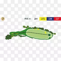 达贝维尔高尔夫球场黄毛猫头鹰-绿化-空若网 达贝维尔高尔夫球场黄毛猫头鹰-绿化-空若网
