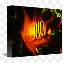 ̨ʽ��ֽ����-������