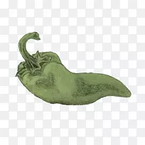 蔬菜-蔬菜-空若网 蔬菜-蔬菜-空若网