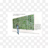 �ݽ�-������