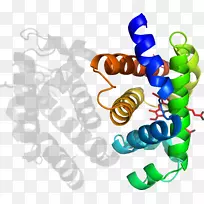 平面设计人体珠宝剪贴画.珠宝-空若网 平面设计人体珠宝剪贴画.珠宝-空若网