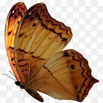 ë���׵ĺ������������������-������