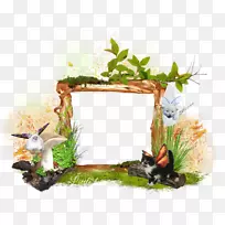 La bo teà图像,相框,猫-澳大利亚人-空若网 La bo teà图像,相框,猫-澳大利亚人-空若网