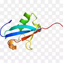 线点生物剪贴画线-空若网 线点生物剪贴画线-空若网
