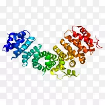 �׼�������-1��ճ�������ظ����쵰��-������