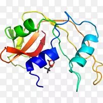 �ߵ������-��-������