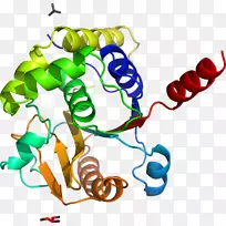 �ߵ������������-������