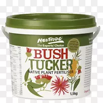 布什塔克本地植物食物灌木辣椒植物-空若网 布什塔克本地植物食物灌木辣椒植物-空若网