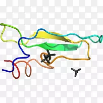 �ߵ������-��-������