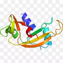 �߲�ϵ���л��������-�߲�-������